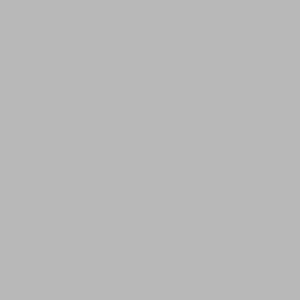 Stilou Parker Jotter Original Standard Black CT